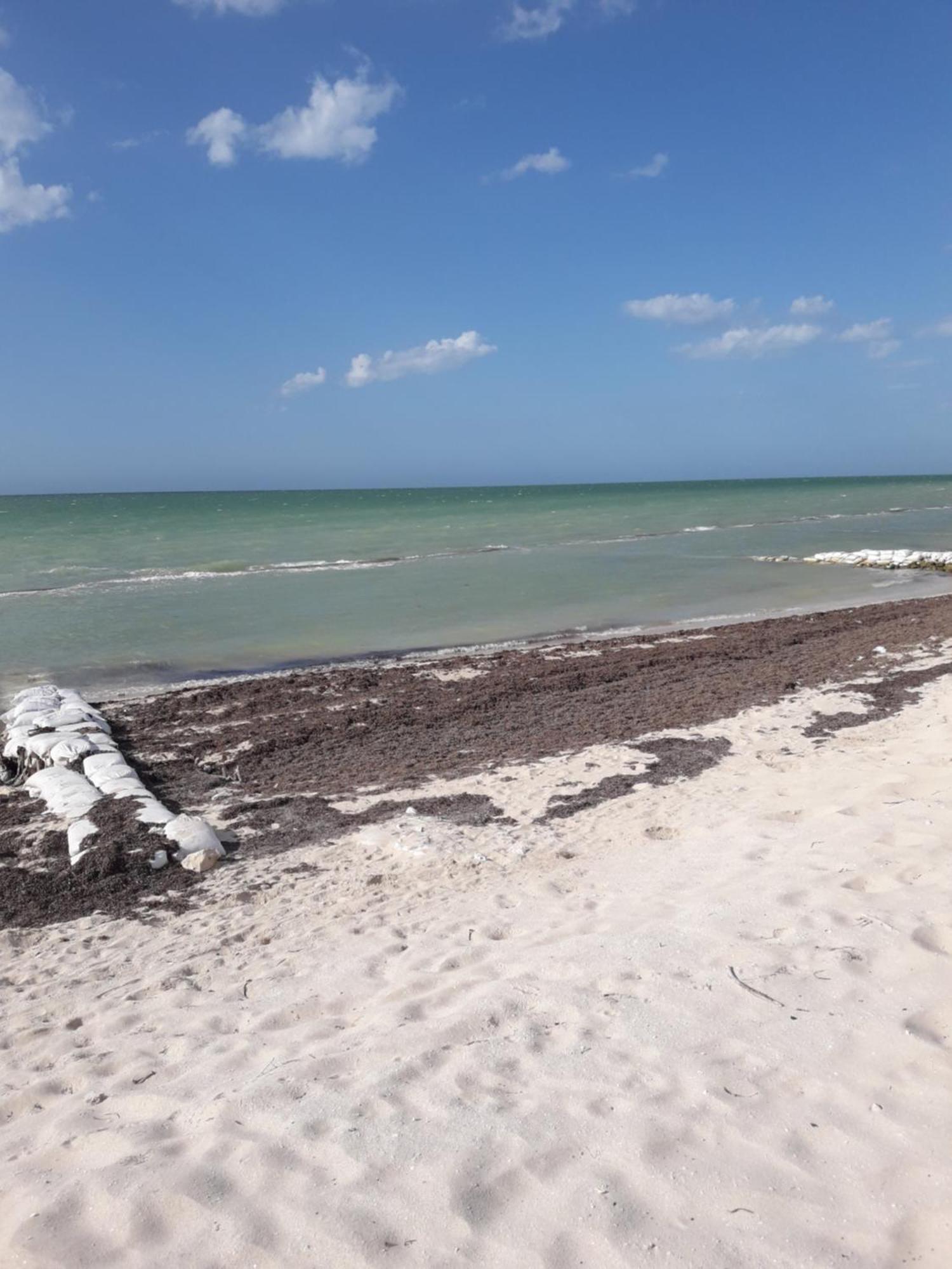 Casa Pepe Vacation Rental Progreso Прогресо Экстерьер фото